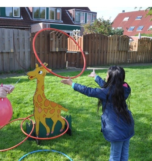 Hoepelgooien - Giraffe 